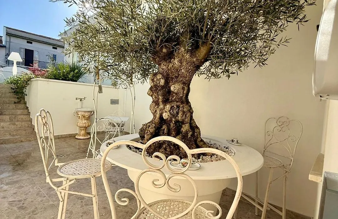 La Presentosa B&B-1