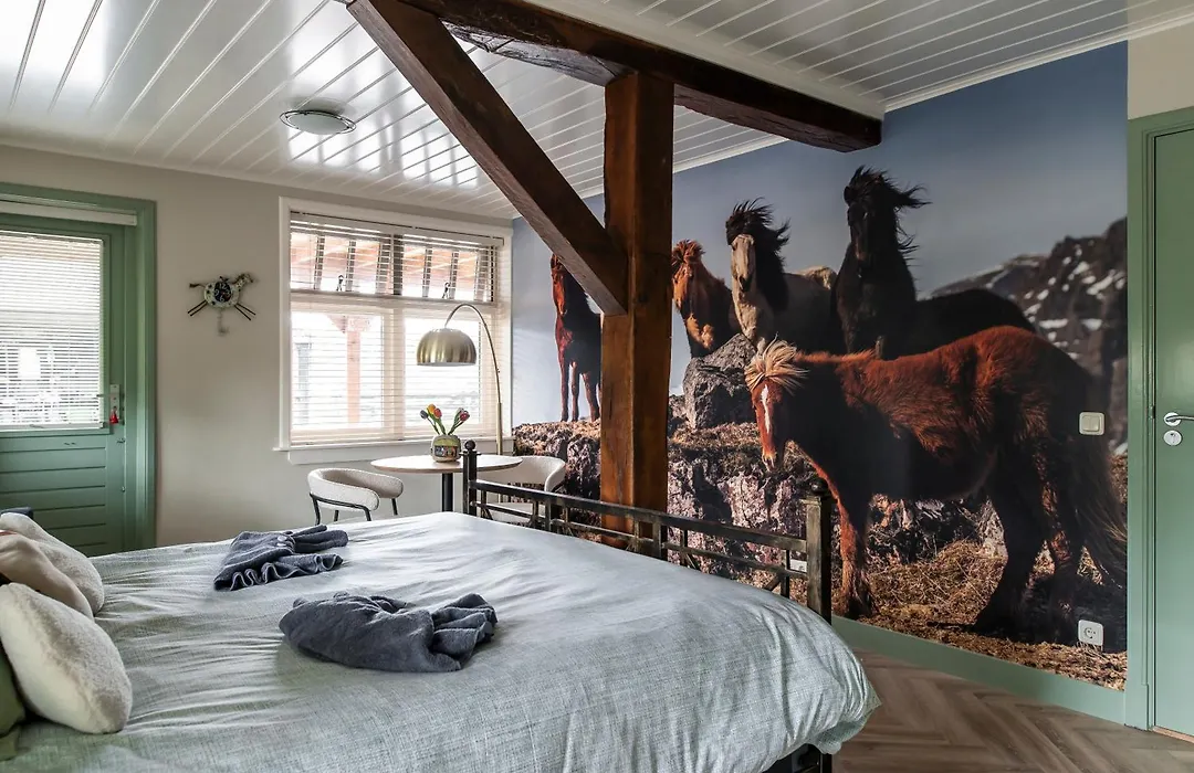 Bed&Breakfast de Hoge Enk-1