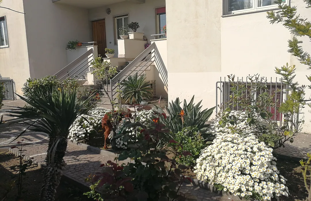 Area Domus-1