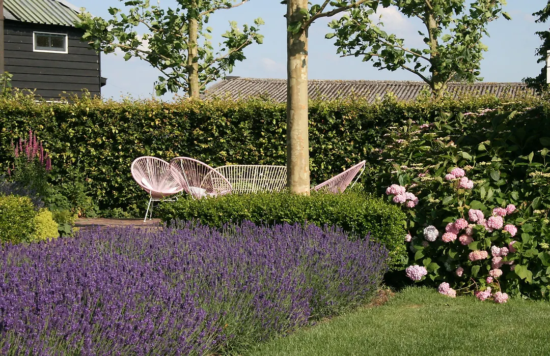 Boutique Hotel Villa Oldenhoff-1