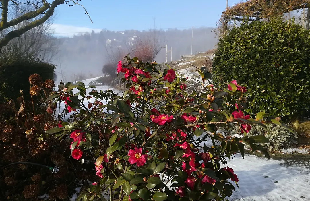 Sotto la Luna Bruna B&B-1