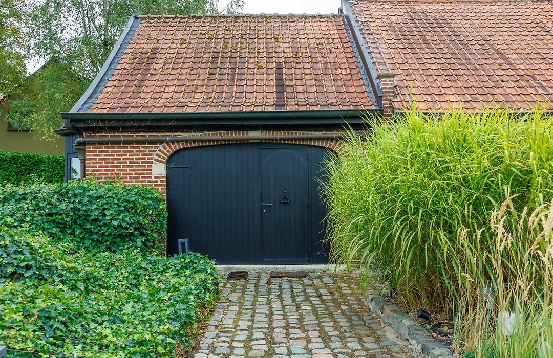 B&B Hof Ter Koningen-1