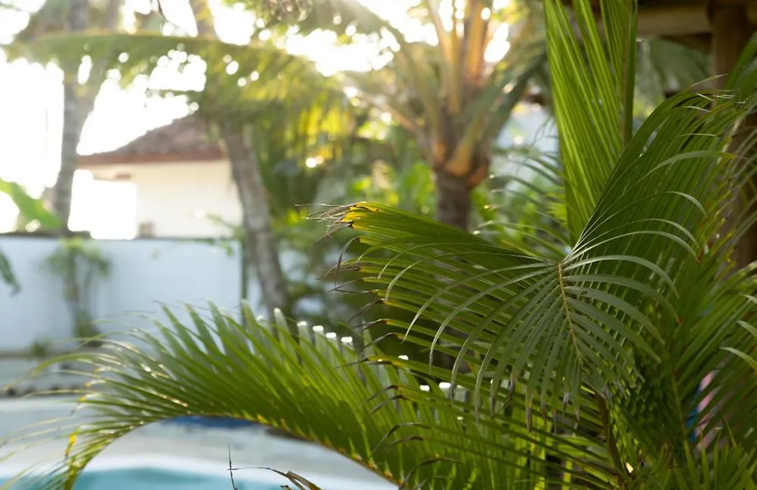 7Bd Surf House-1