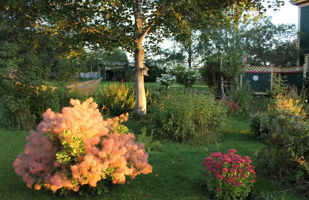 Rothesay House Heritage Inn B&B-1