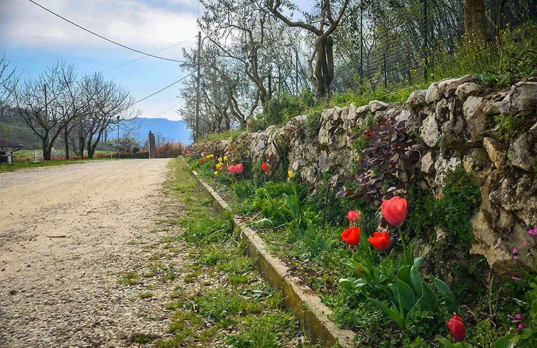 Bed And Breakfast La Quiete-1