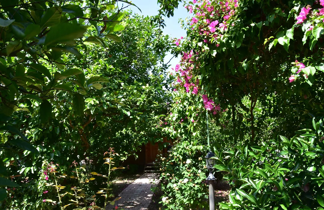 Lemon Garden Lodge-1