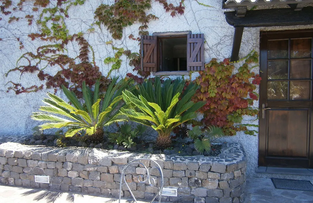 Casa Das Proteas-1