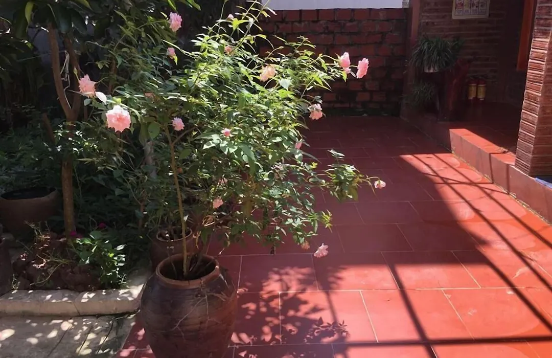 Van Long Family Homestay-1