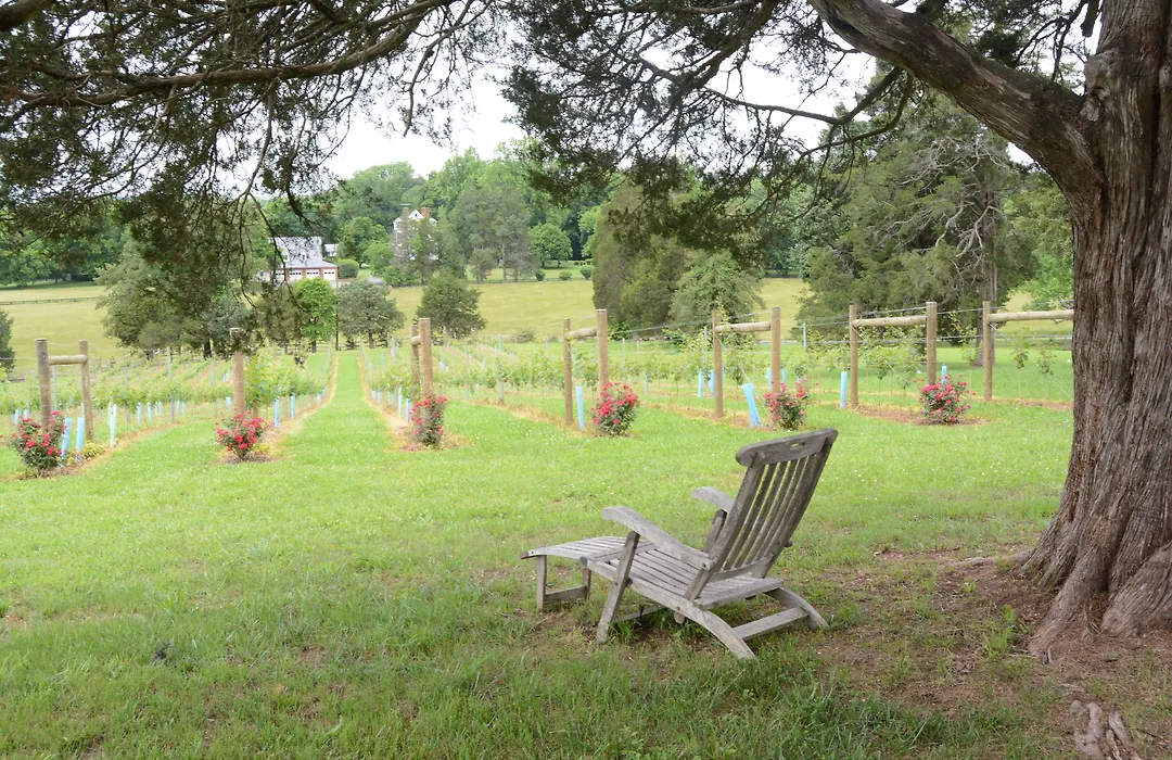 Woodville Bed And Breakfast-1