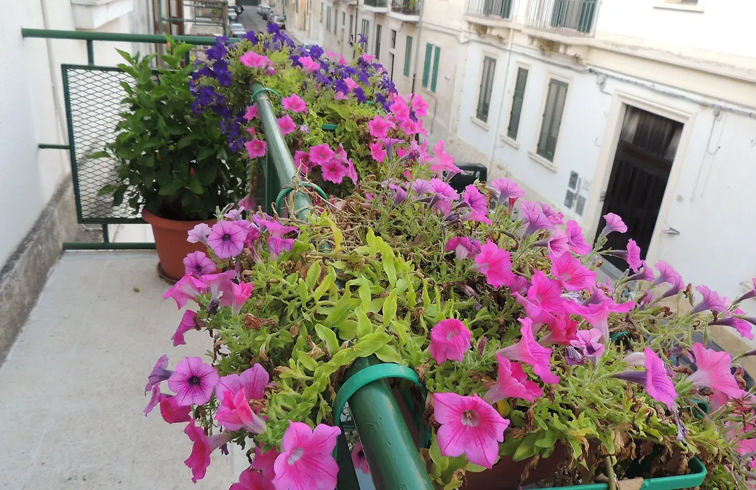 B&B Amèlie-1