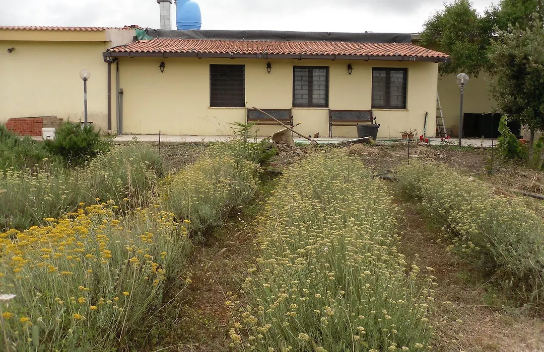 B&B Fragus E Saboris De Sardigna-1
