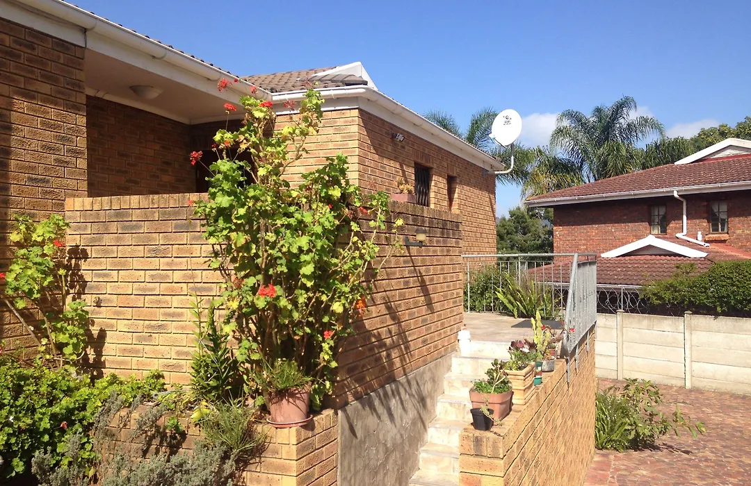Blue Fern Of Knysna-1