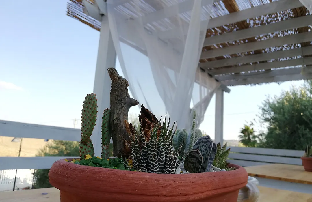 B&B Villa Kairos-1