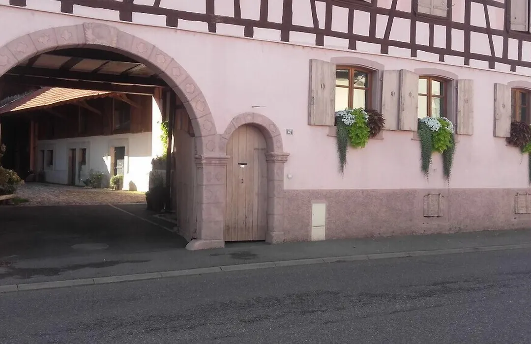Coté Cour Bischwihr Colmar-1