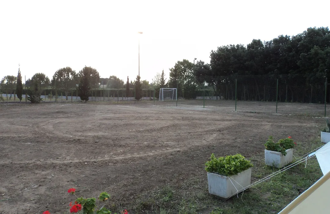 B&B Ulivi d'argento-1