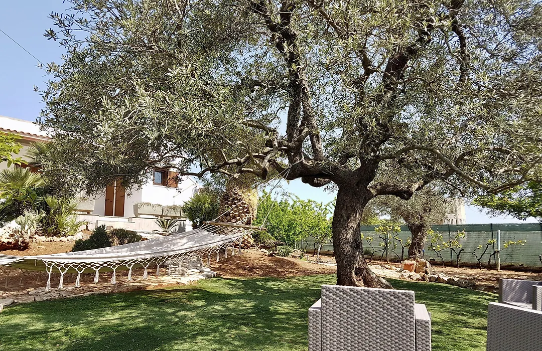 B&B All'ombra degli ulivi-1