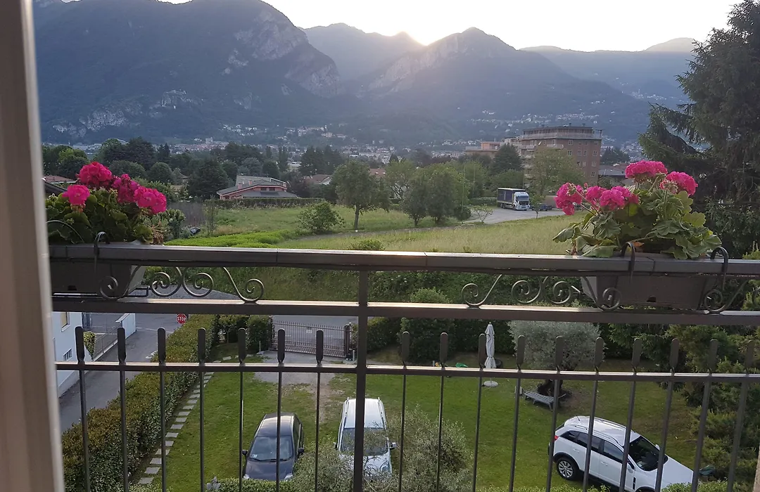Ai Due Vecchi Ulivi-1