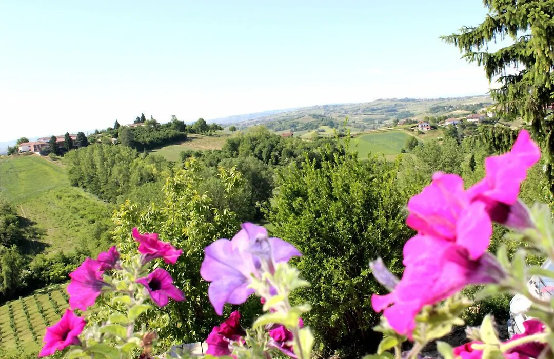 Alta Villa The Countryhouse Adults Only Boutique BnB-1