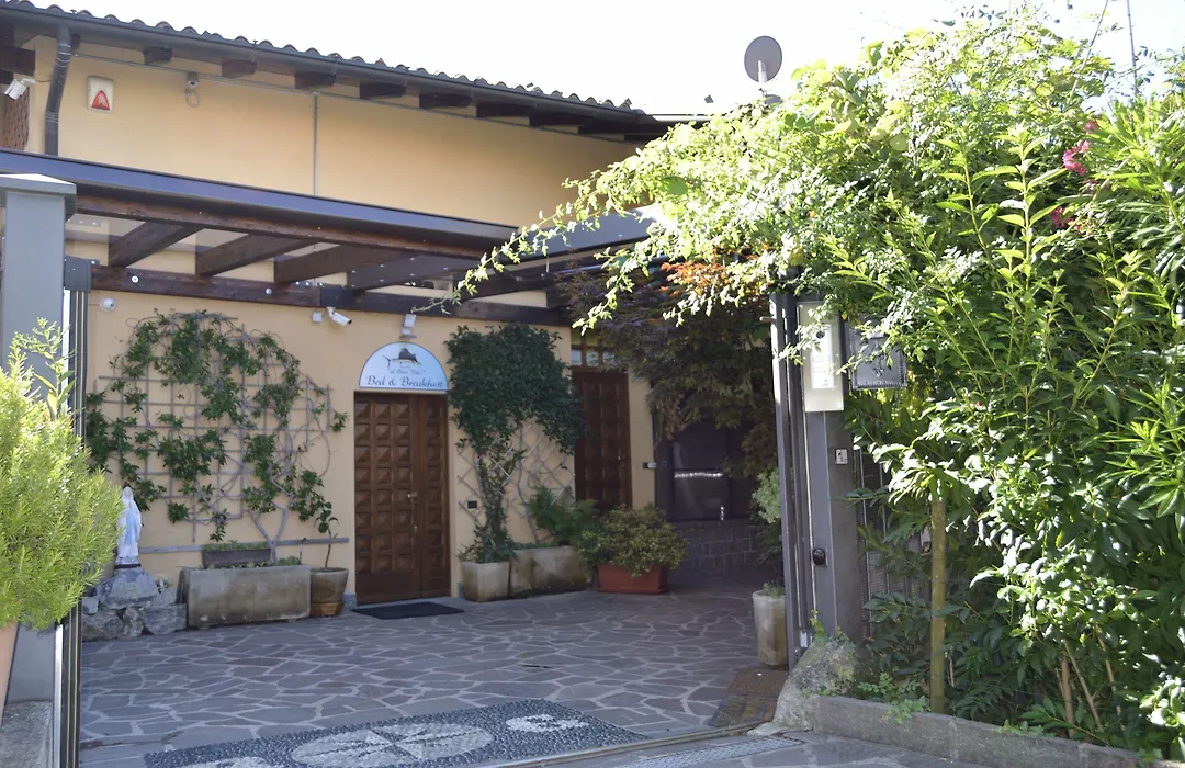 B&B al Pesce Vela-1