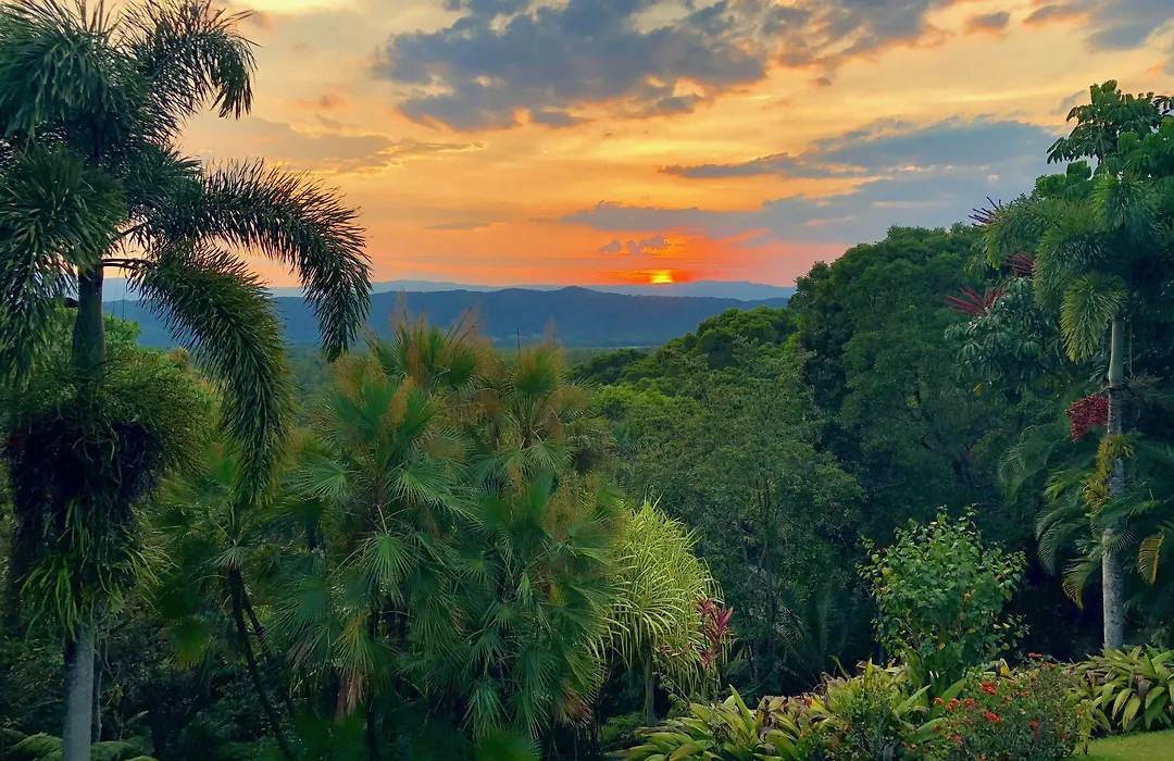 Daintree Manor B&B-1