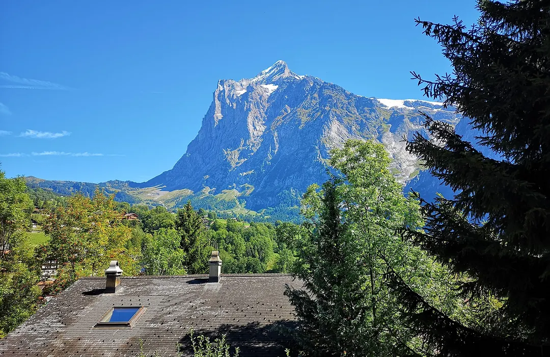Hotel Gletscherblick Grindelwald-1