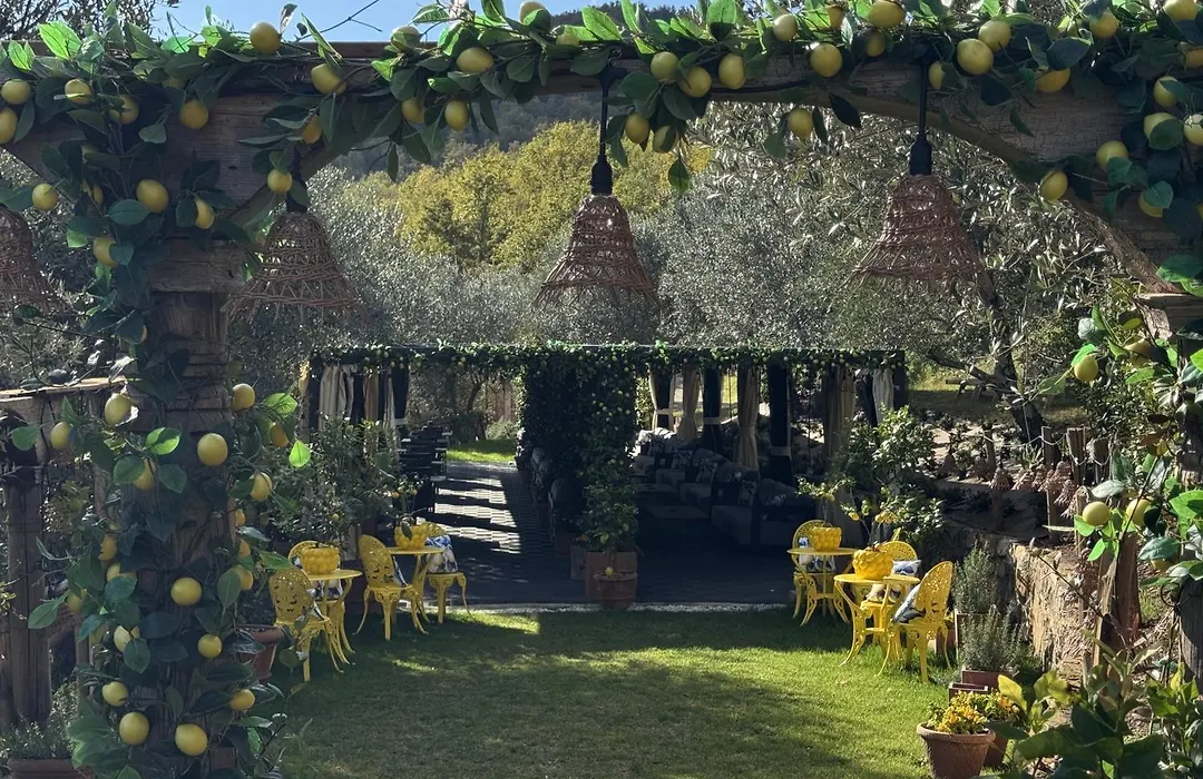 Terre Di Baccio-1