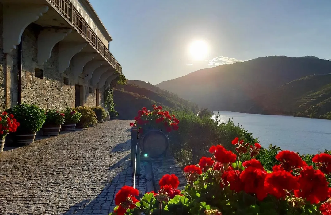 Quinta Do Tedo-1