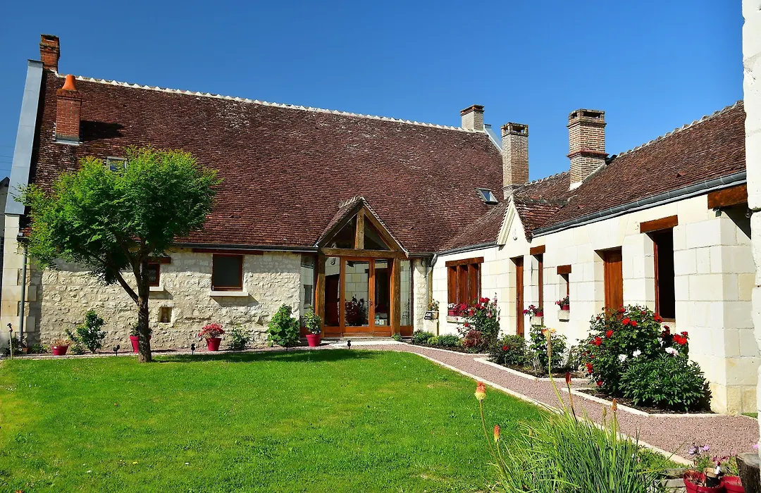 Le Tulipier De Virginie-1