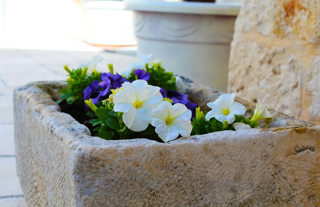 Trulli Antica Fonte-1