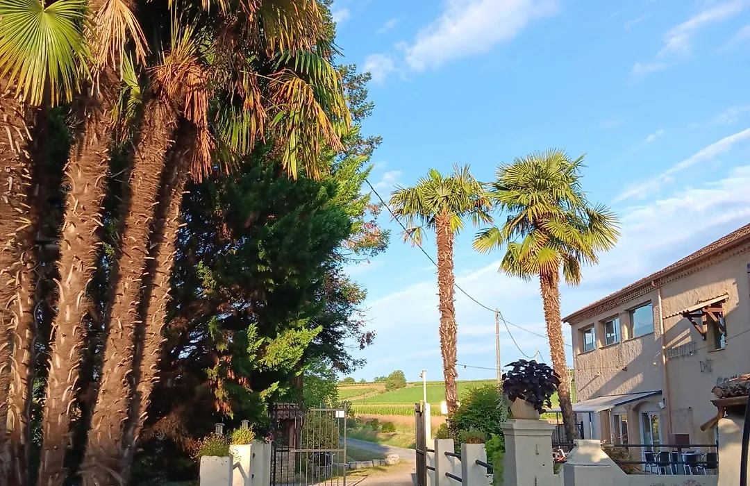 Le Moulin Du Comte-1