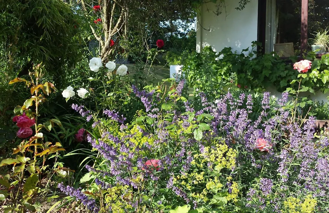 Riverfield Bed And Breakfast-1