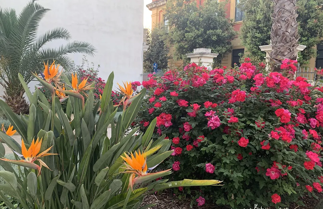 B&B Don Alessandro-1