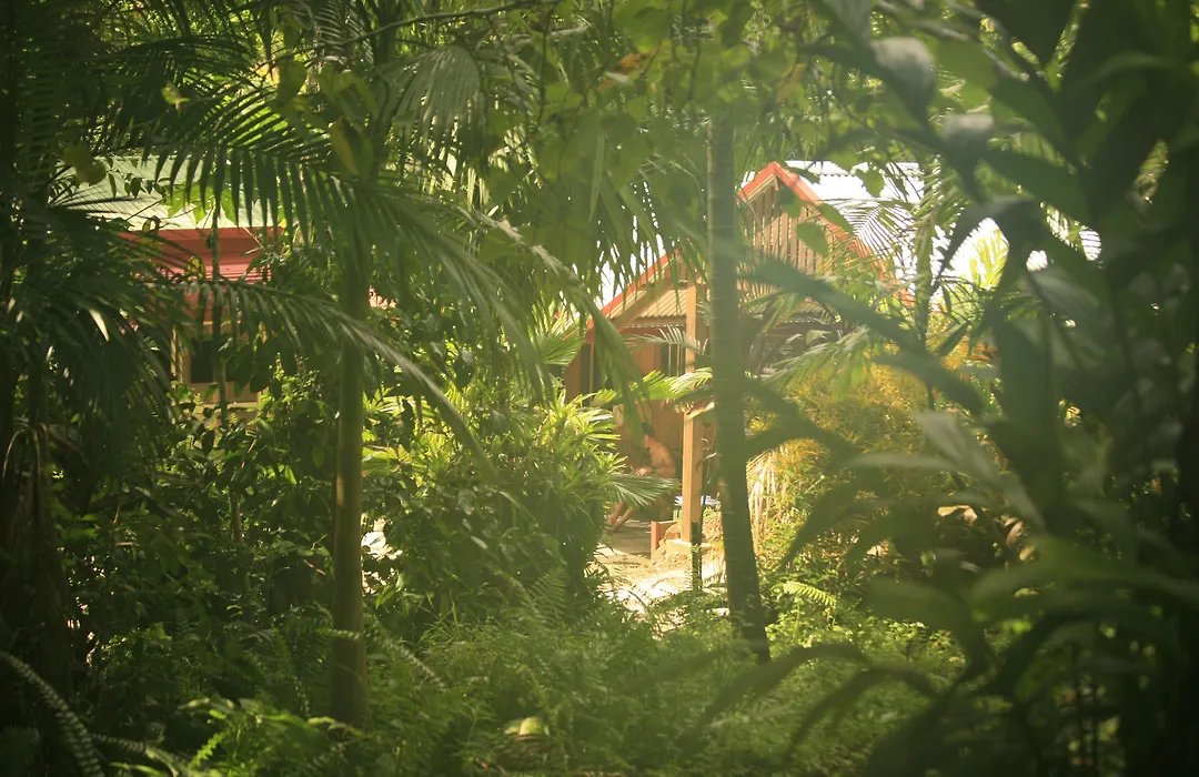 Tropical Bliss Bed And Breakfast-1
