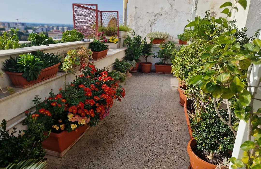 B&B GANAJ - Corso Italia 89 - BARI-1