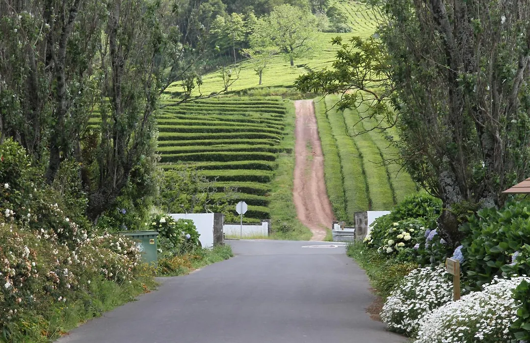 Basaltic Guest House-1
