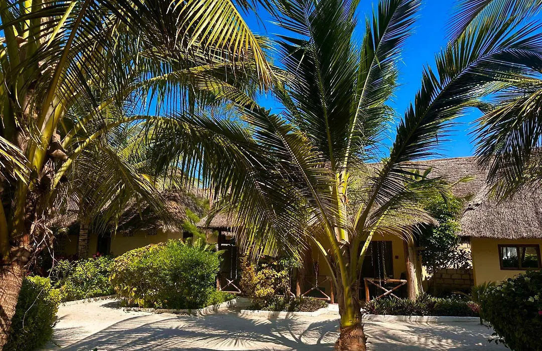Moayana Liora Zanzibar-1