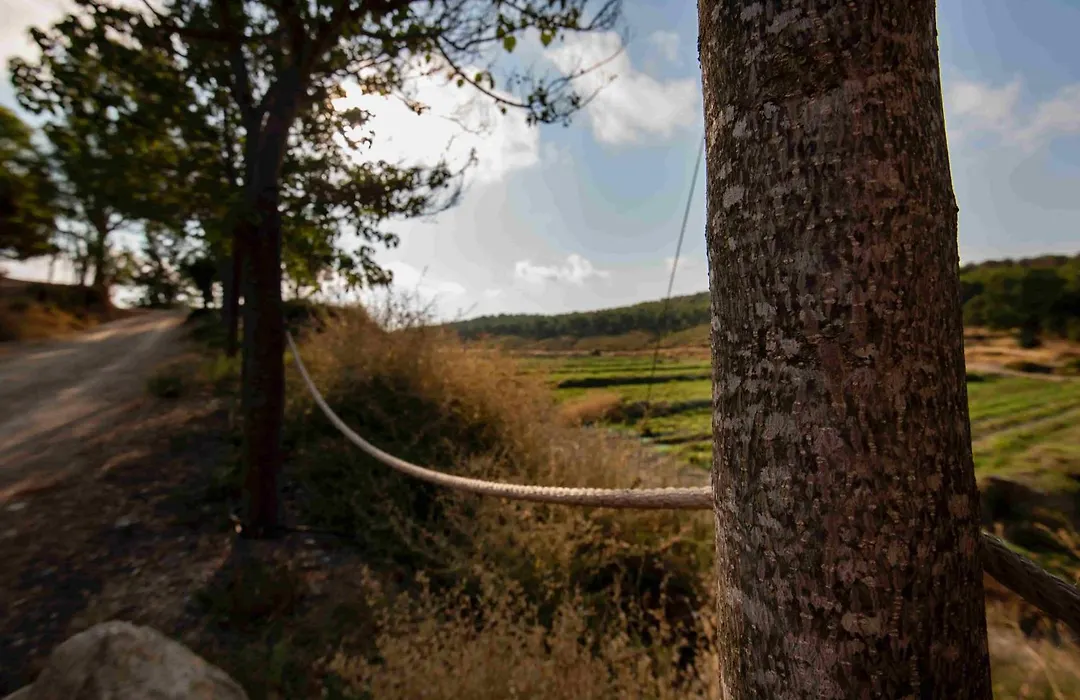 Ribazos de la Sierra-1