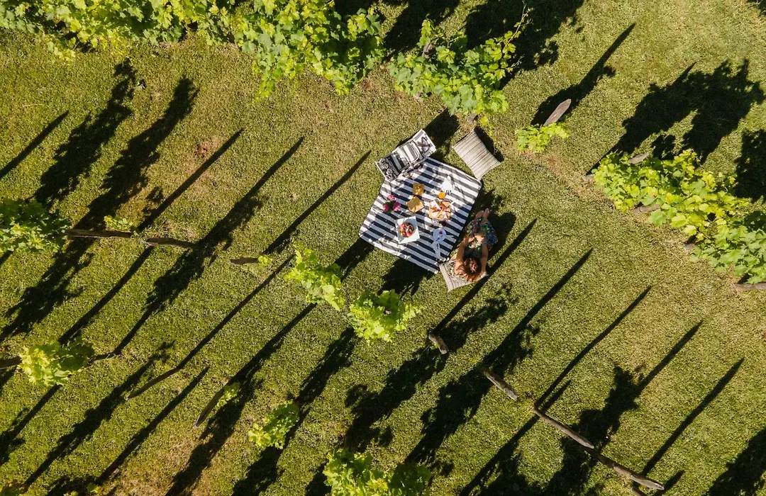Dormire in una botte - Antiche Vigne Pironti-1