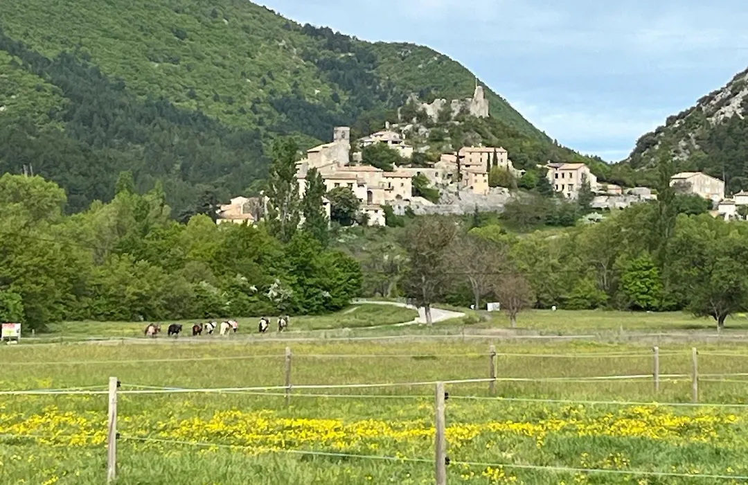Mas de Reilhanette-1