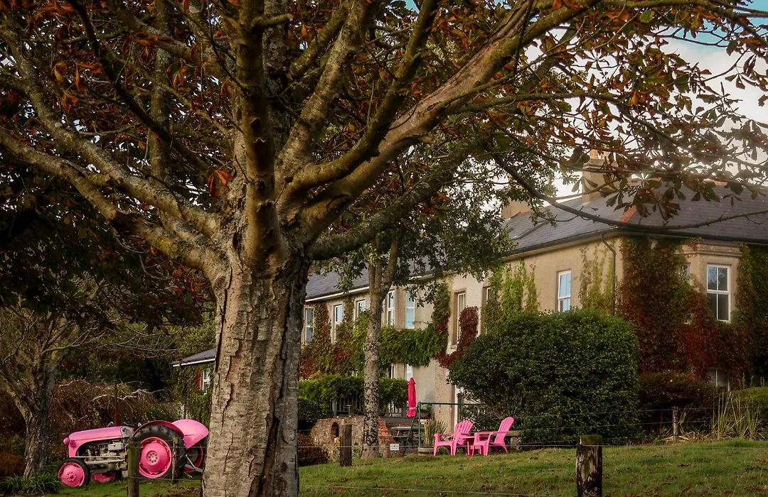 Glendine Country House Wexford-1
