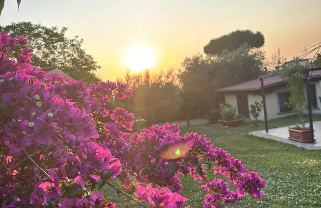 B&B Ai Glicini - Castelli Romani-1