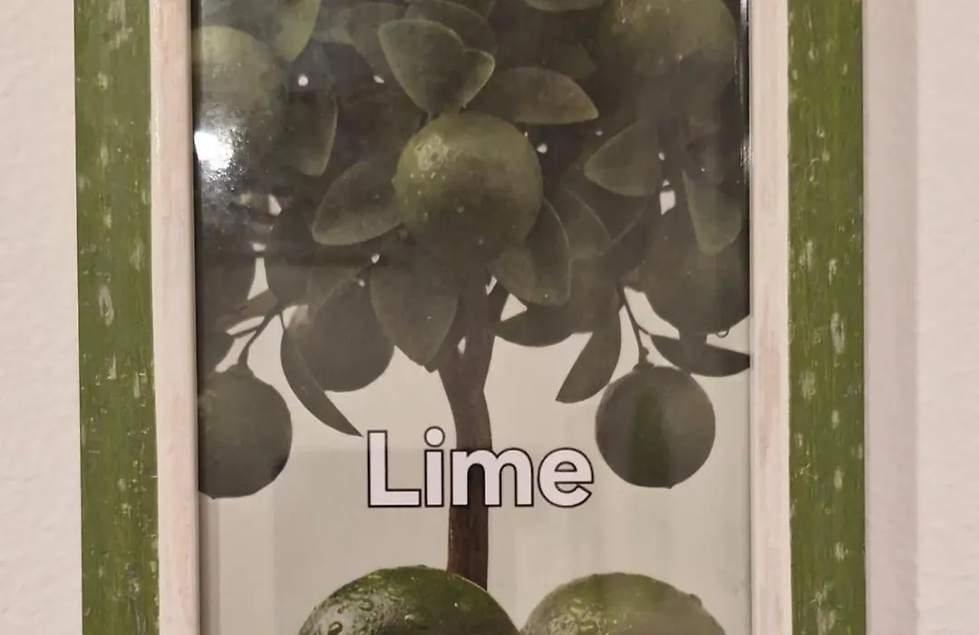 B&B Linea Verde-1