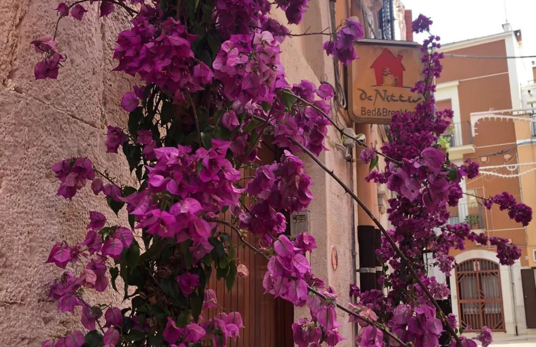 Bed & Breakfast De Nittis - Meridia Collection-1