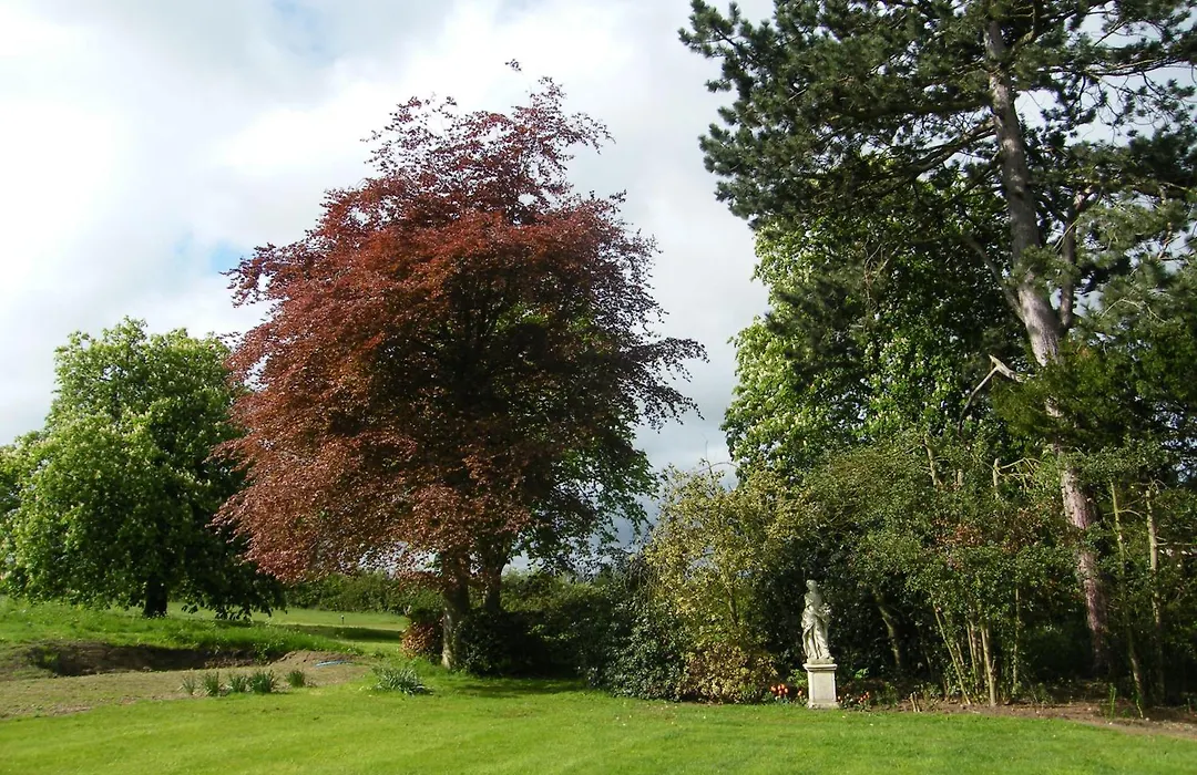 Glebe House-1