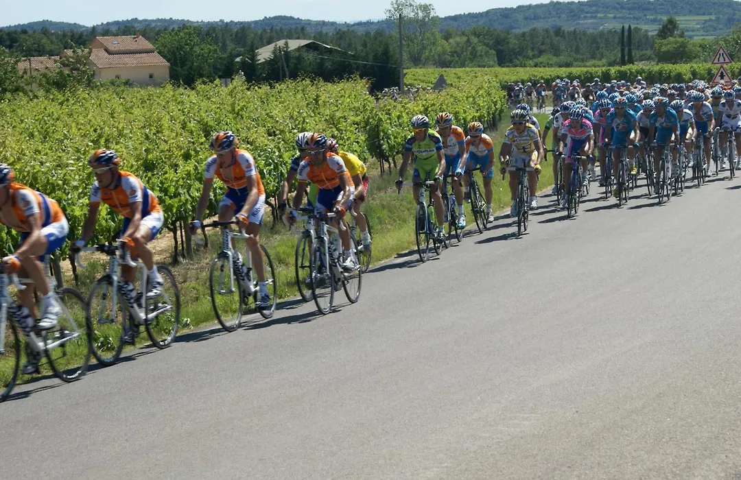 La Bastide au Ventoux-1