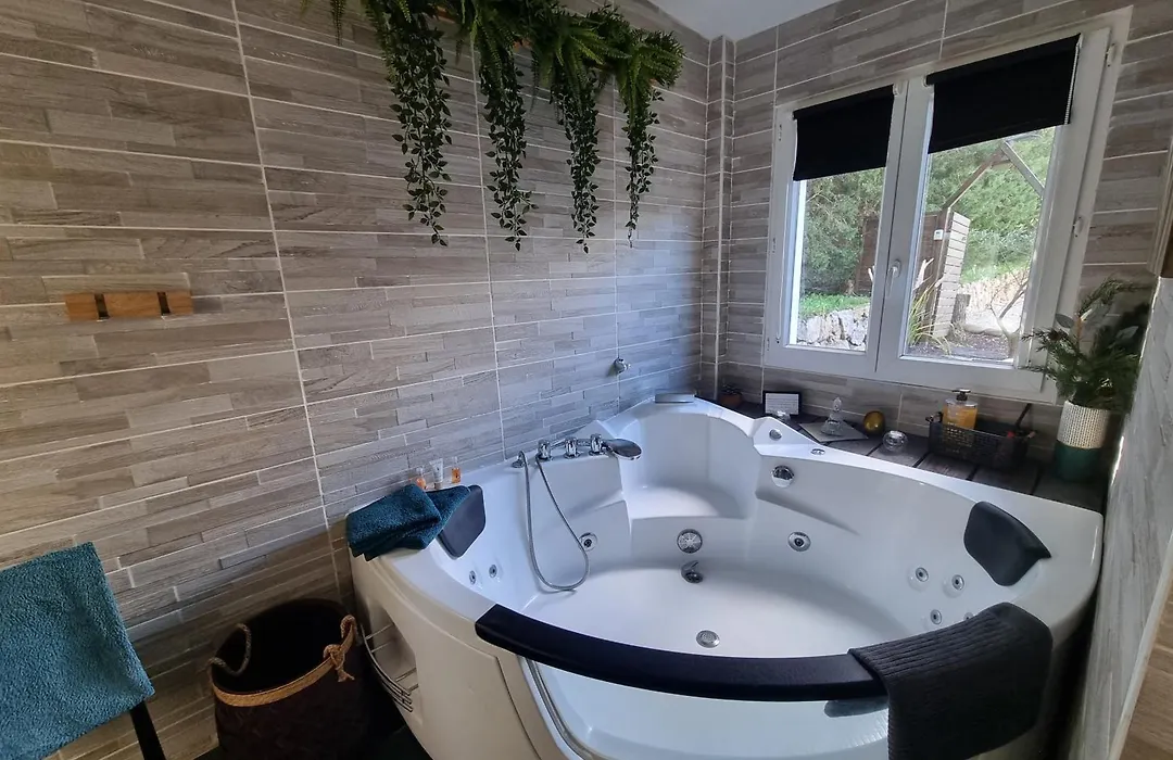 A l'Orée des pins - Gite et spa de 30 m2- Home Cinéma et massage en sup-1