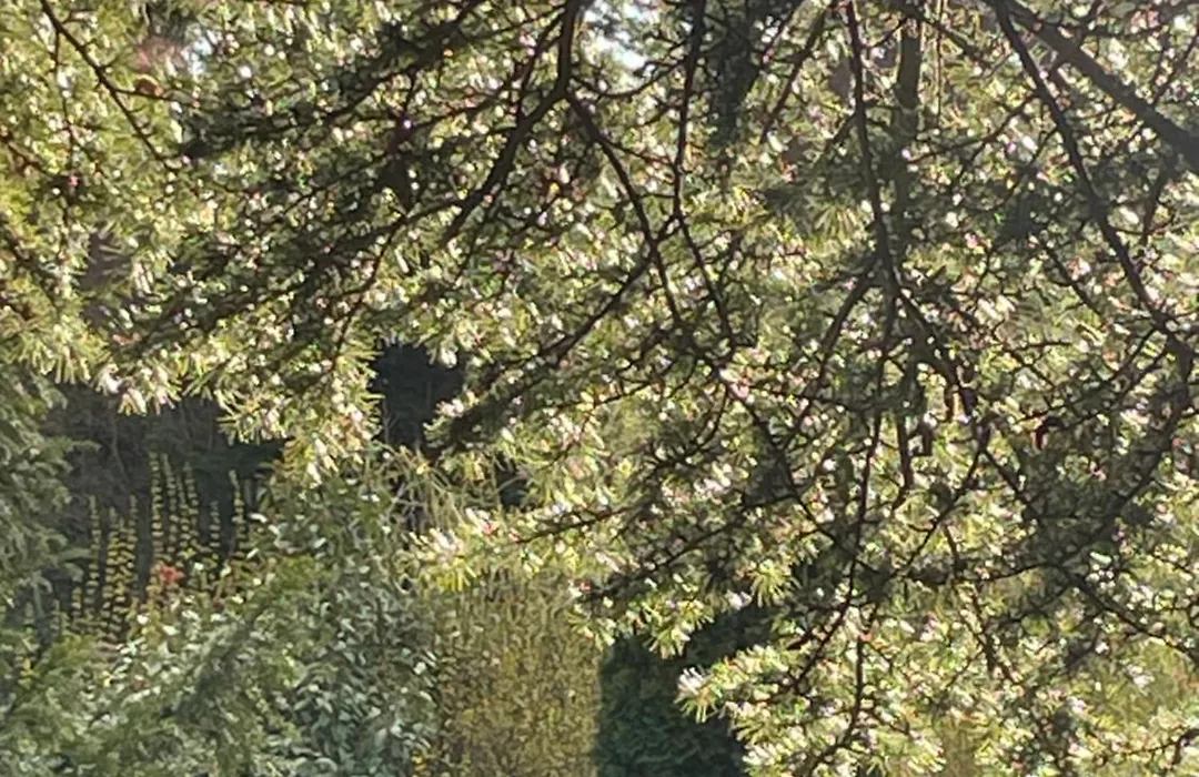 La Source-1