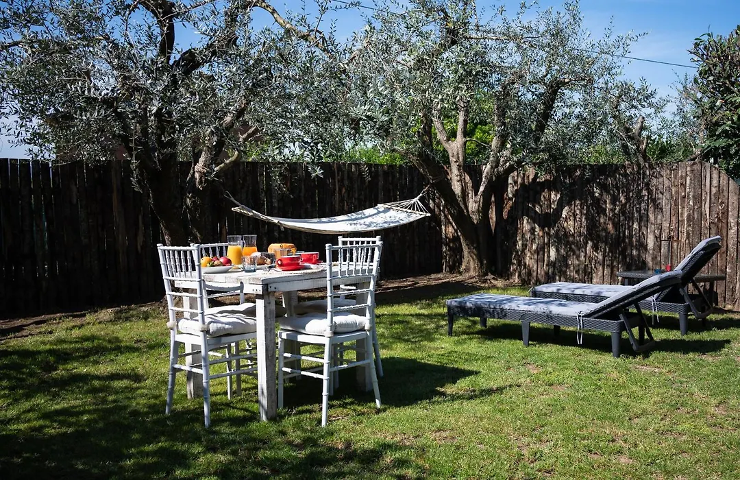 Agriturismo Colle Salomonio-1