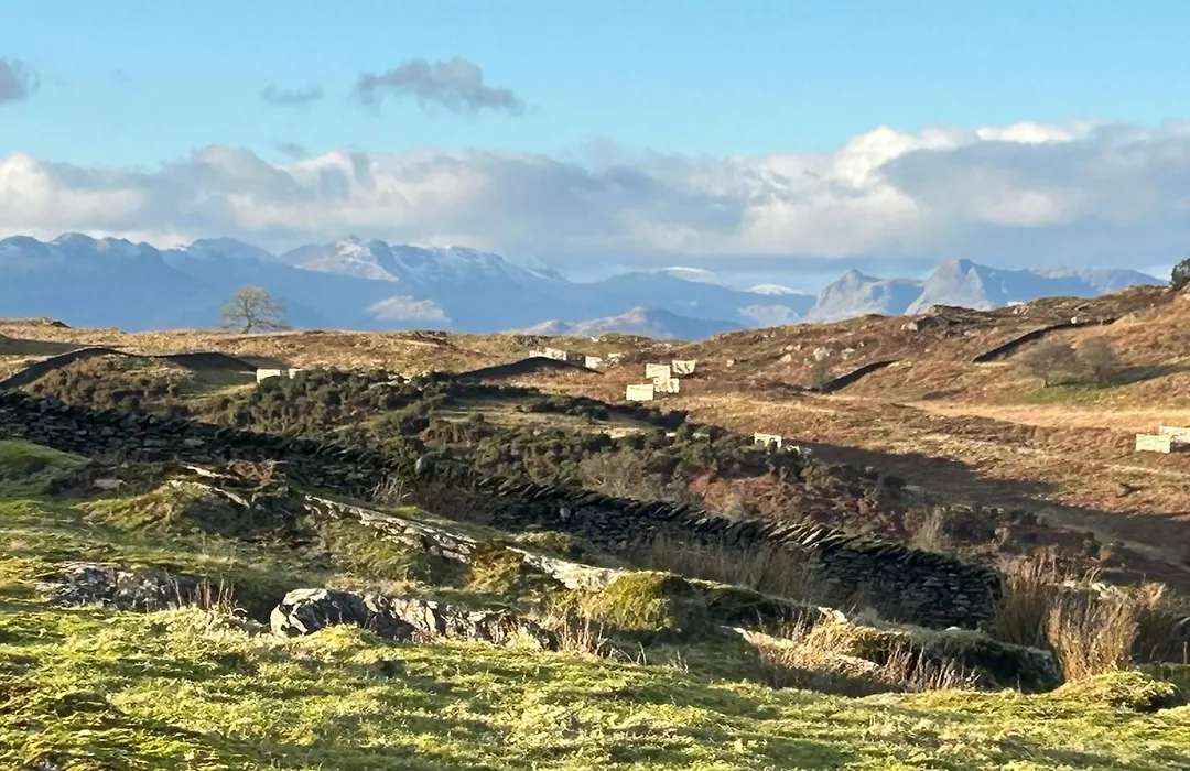 Cragg House Farm B&B-1