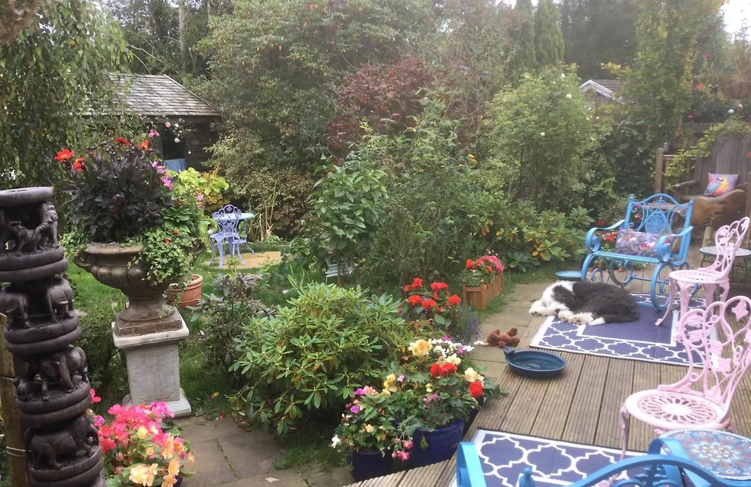 Angel Cottage-1